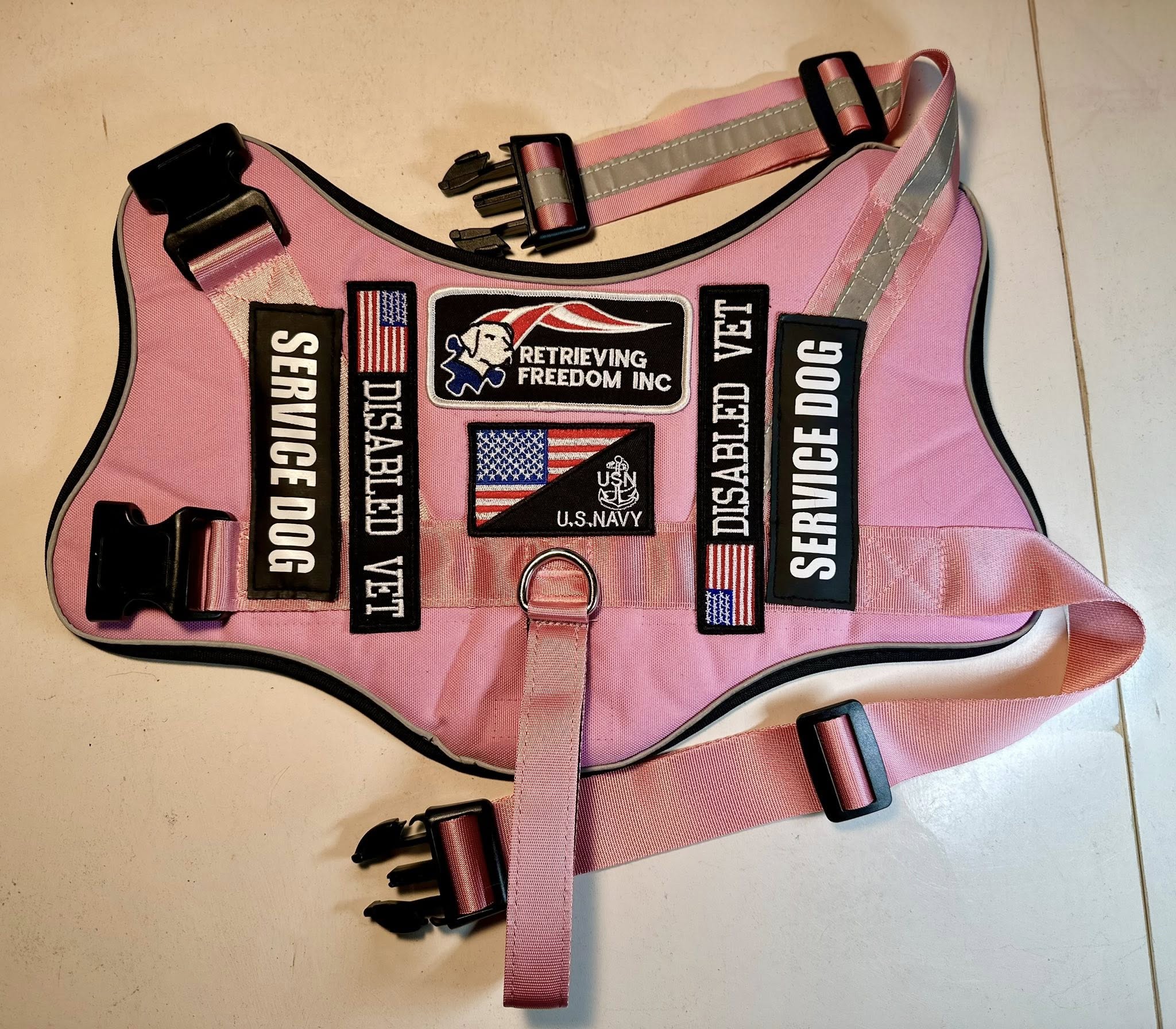 Custom dog harness